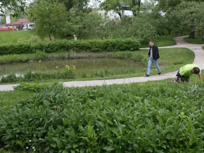 ﻿- 11.05.2016 - Botanični vrt v Ljubljani - nova naravoslovna učna pot poimenovana »Po poti Fleischmannovega rebrinca«.- vodeni ogled s pestrostjo rastlinskih vrst v botaničnem vrtu in v različnih življenjskih okoljih Grajskega griča, ///FOTO: Luka Cjuha.