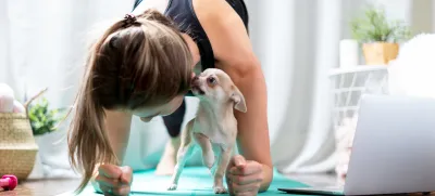 Young sporty woman working out and using laptop at home in living room, doing yoga or pilates exercise on turquoise mat, standing in plank pose with cute puppy dog. Home fitness concept