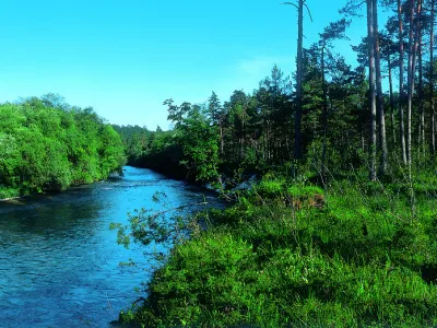 Sava Dolinka, reka narava
