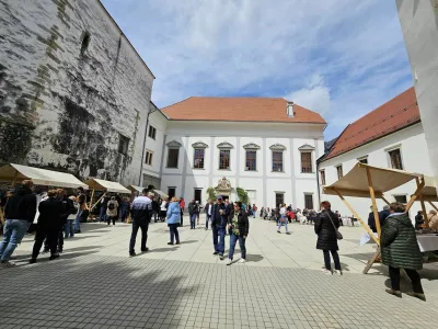 Grad Borl Cirkulane