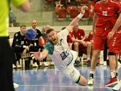 rokomet, blaž blagotinšek, slovenija, švica