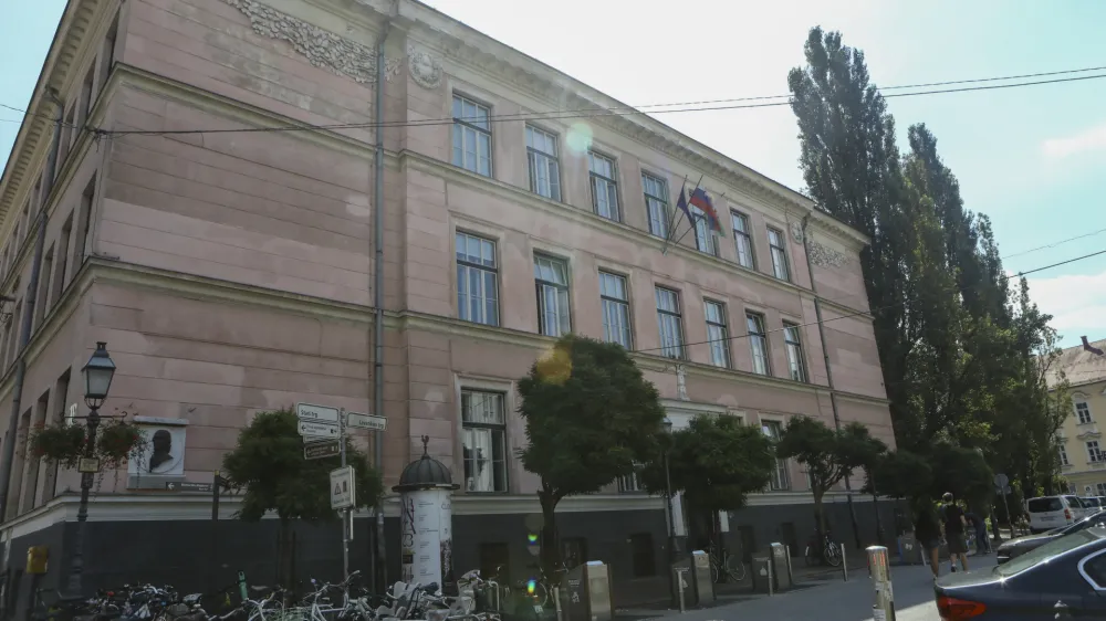 Zaradi pričakovane prostorske stiske ljubljanska občina i&scaron;če re&scaron;itve za Center Janeza Levca Ljubljana in hkrati snuje mrežo &scaron;ol, ki bodo izvajale prilagojeni program za otroke s posebnimi potrebami. Foto: Luka Cjuha&nbsp;