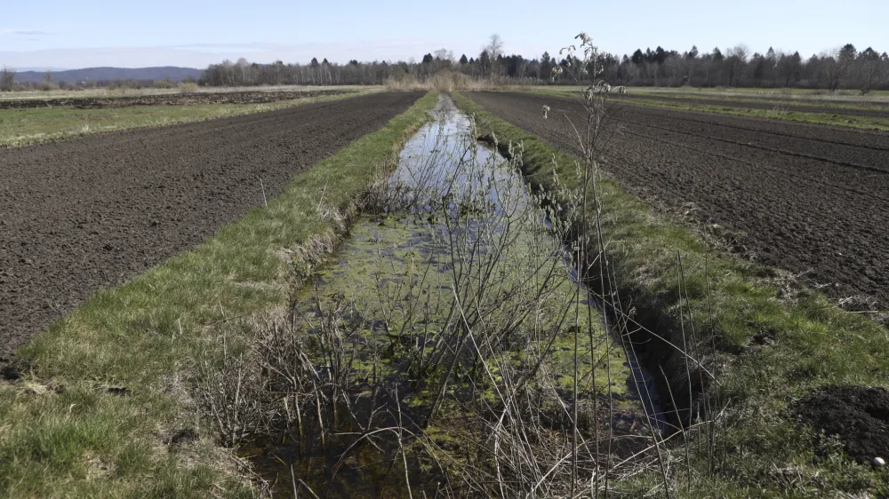 - 29.03.2023 - Ljubljansko barje -  //FOTO: Luka Cjuha