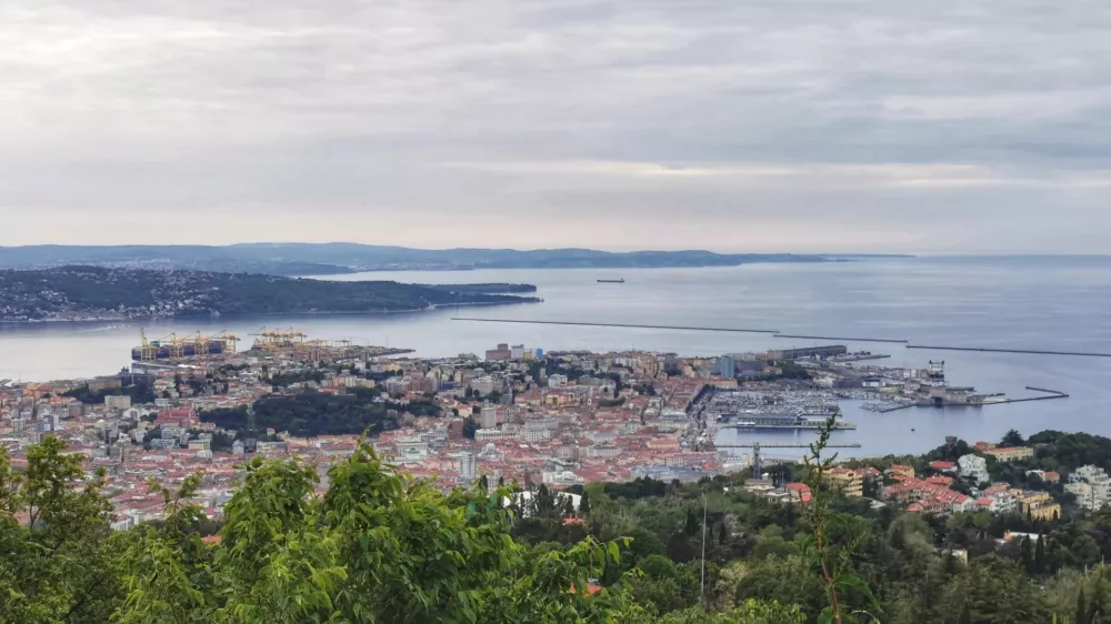 Pogled na Tržaški zaliv / Foto: Miha First