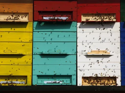 čebelarstvo - čebele - panji- Zeliščarska kmetija Plavica - Cerovec 34 - Dolenjske Toplice, zeliščarstvo//FOTO: Jaka Gasar