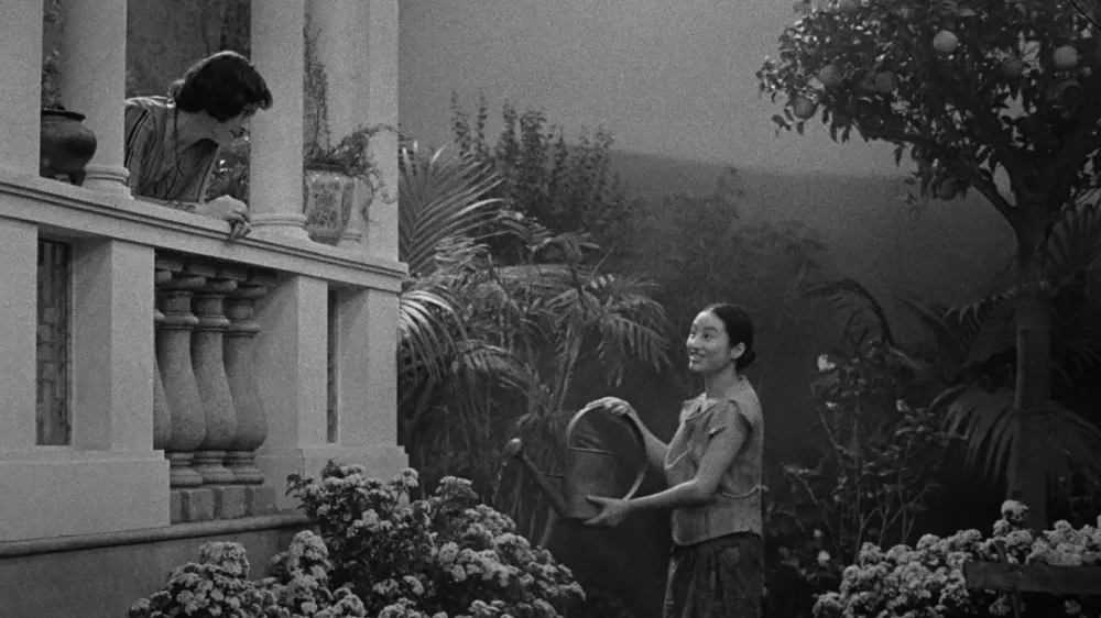 Miguel Gomes, Grand Tour 