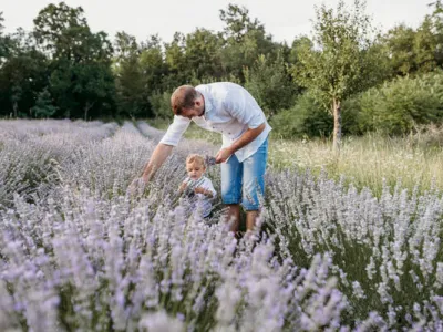 Ekološka kmetija Korošec Divača