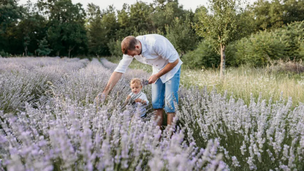 Ekološka kmetija Korošec Divača