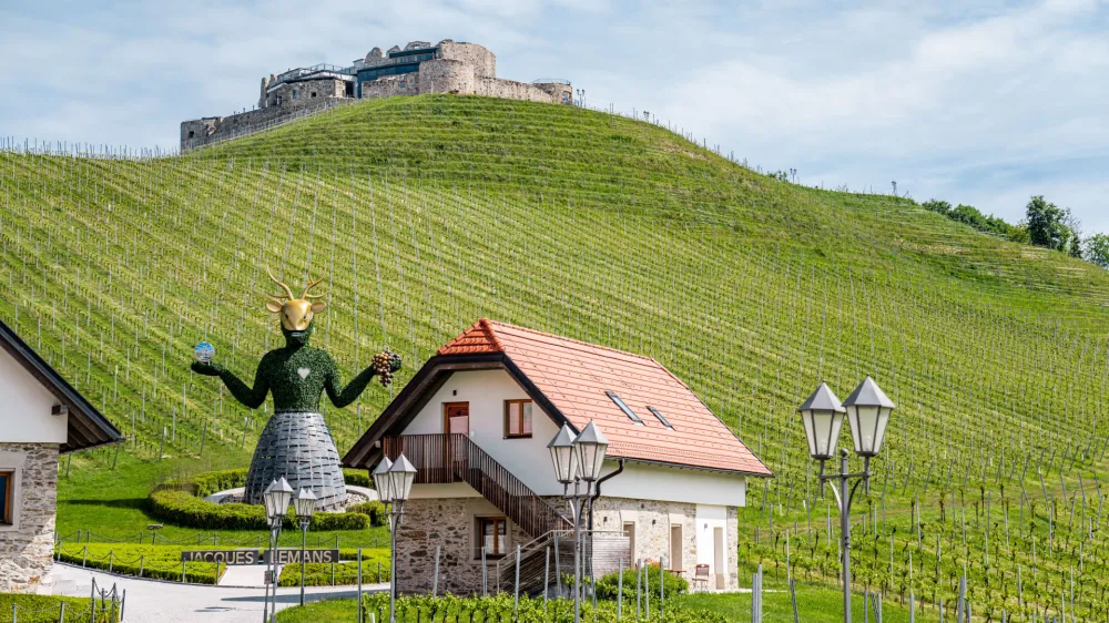 Grad Taggenbrunn je zgodovinski dragulj avstrijske Koro&scaron;ke, ki je zahvaljujoč vrhunskim kulturnim prireditvam in vinu poznan tudi zunaj avstrijskih meja. F Matic Kremžar