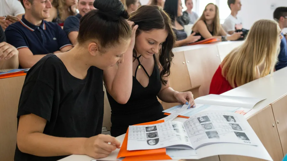 Dijaki in dijakinje se bodo morda v prihodnosti lahko odločali tudi med dvema nivojema mature pri slovenščini. Fotografija je simbolična. 