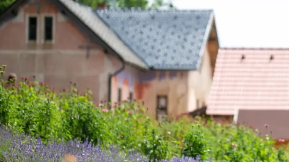 Ekološka zeliščna kmetij Vidov brejg