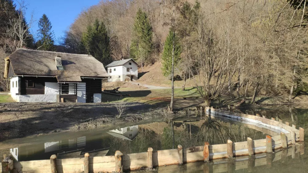 Cona brez rib v ribniku Trebče za varno mrestenje dvoživk. 