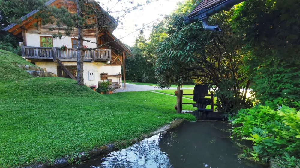 Potoček, ki teče skozi domačijo. / Foto: Miha First
