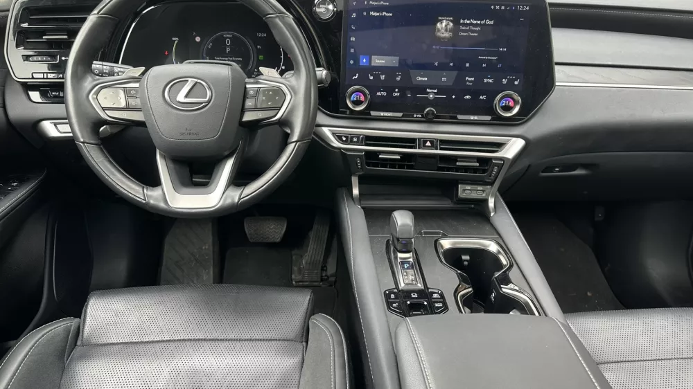 Lexus RX / Foto: Matjaž Terzič