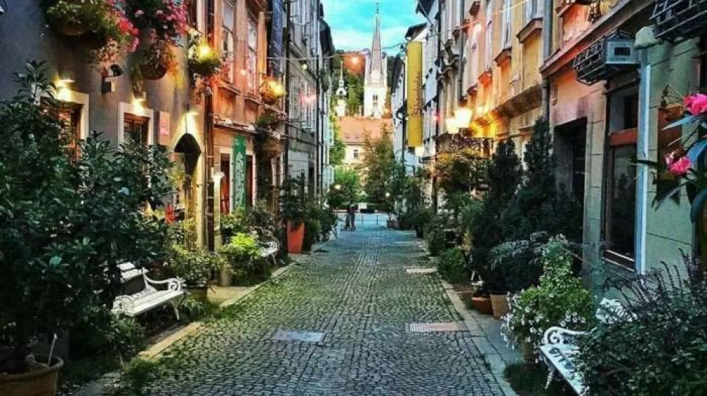 Križevniška ulica, Dan križevniškega soseda