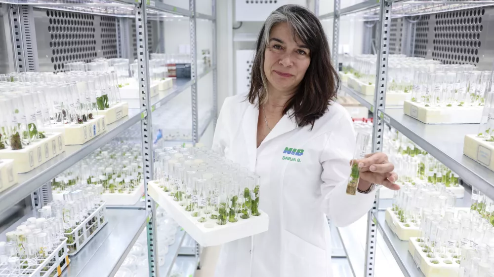 Drarja Stanič- 17.07.2024 - Dobre zgodbe Evrope - Nacionalni inštitut za biologijo //FOTO: Jaka Gasar / Foto: Jaka Gasar