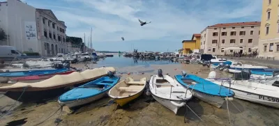Posledice sluzenja morja so najbolj očitne prav v piranskem mandraču. F Vesna Levičnik