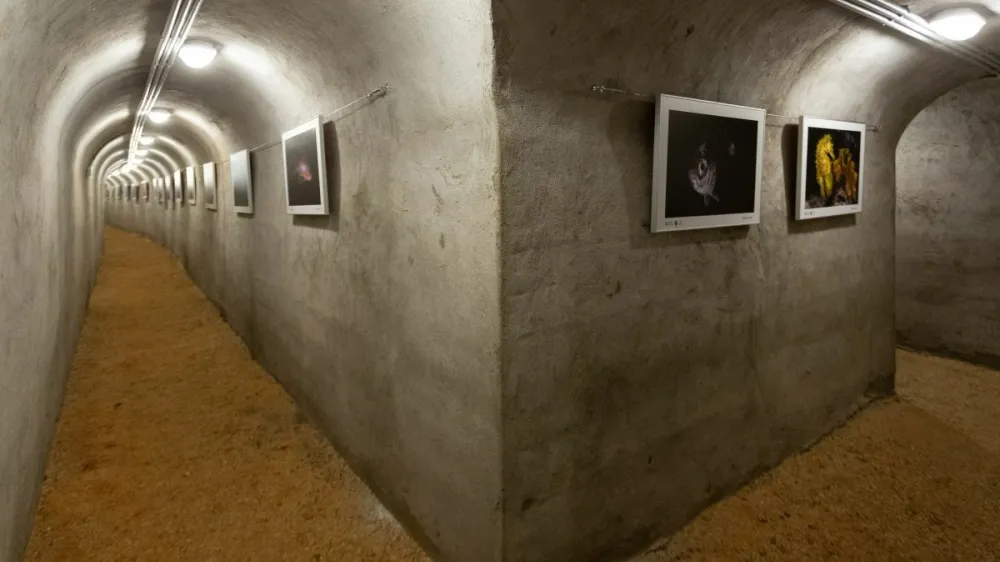 Razstava je na ogled v vojaških rovih, ki so jih uredili in osvetlili na polotoku Gatula. F TZ Splitsko-dalmatinske županije