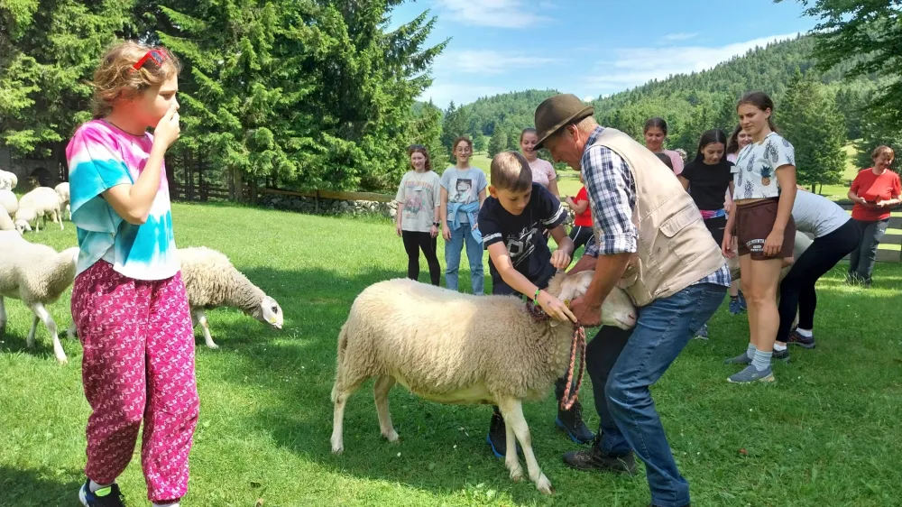 Rokodelski tabor na Menini planini