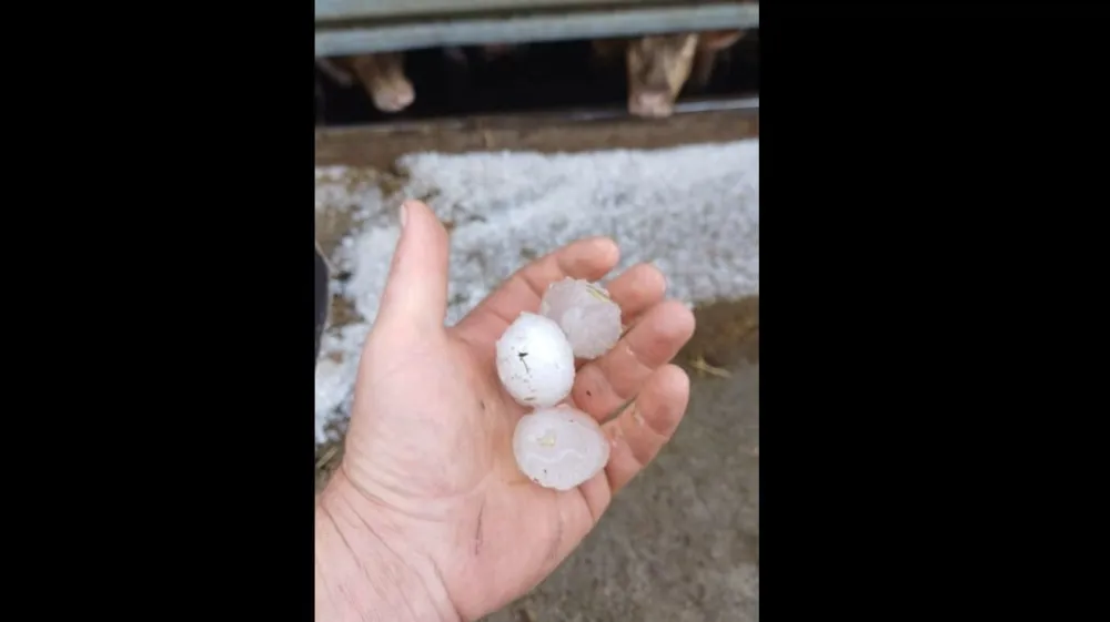 Tako debela toča je padala na območju Biča.