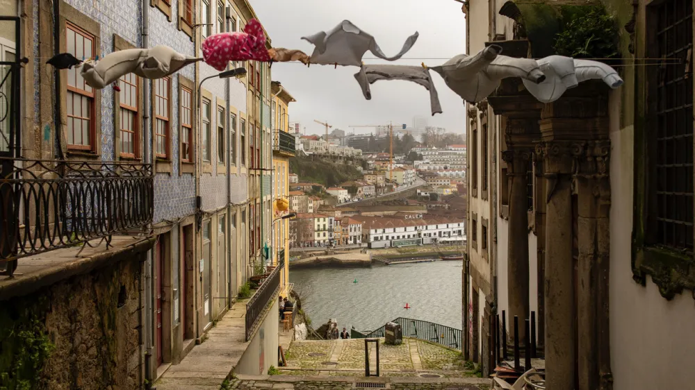 Mesto Porto, Portugalska F Voranc Vogel