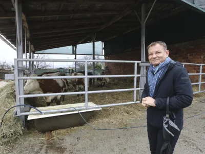 odvetnik Možganovih Franci Matoz,- 18.01.2024 – Kmetija Možgan, Veniše 16, Leskovec pri Krškem – vrnitev odvzete govedi, ki mu jih je 14. novembra lani zaradi zanemarjanja trajno odvzela veterinarska inšpektorica  //FOTO: Luka Cjuha