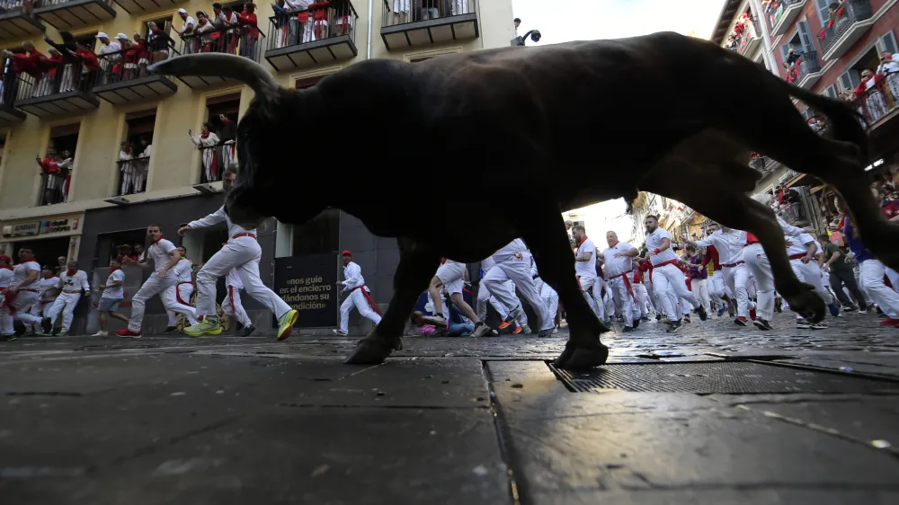 Revelers run with bulls from La Palmosilla ranch during the first day of the running of the bulls at the San Fermín fiestas in Pamplona, Spain, Sunday, July 7, 2024. People test their speed and bravery by dashing with six fighting bulls through the streets of the northern Spanish city of Pamplona. (AP Photo/Alvaro Barrientos)