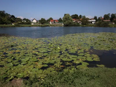 ﻿- 16.08.2016 - Podpeško jezero - Podpeč - poletje - naravno kopališče - kopalci kopanje - počitnice   //FOTO: Luka Cjuha.