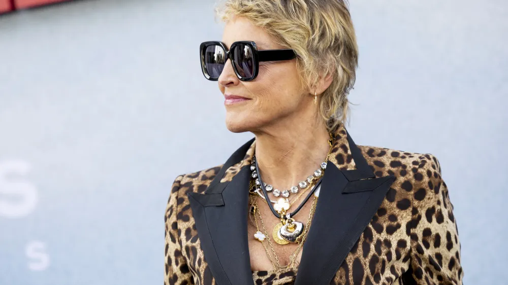 HOLLYWOOD, CALIFORNIA - JUNE 17: Sharon Stone attends the Los Angeles premiere of Focus Features 'The Bikeriders' at TCL Chinese Theatre on June 17, 2024 in Hollywood, California. (Photo by Emma McIntyre/WireImage)