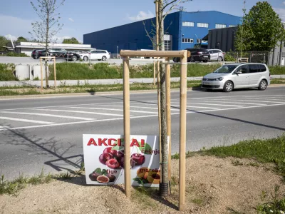 - 11.05.2021 &ndash; obcestna stojnica v Ljubljani Brdo - prodaja sadja in zelenjave ob cestah, //FOTO: Matjaž Ru&scaron;t