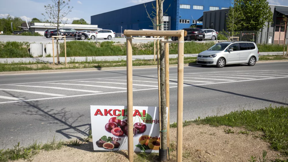 - 11.05.2021 &ndash; obcestna stojnica v Ljubljani Brdo - prodaja sadja in zelenjave ob cestah, //FOTO: Matjaž Ru&scaron;t