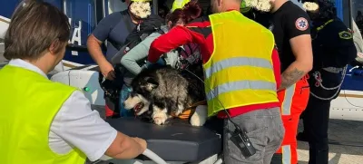 Ekipa HNMP iz Brnika je poškodovano psičko prepeljala do heliporta ljubljanskega UKCF. F Facebook/kmz.si