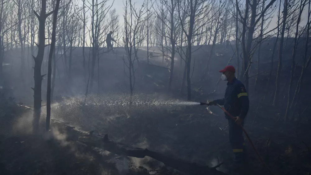 Firefighters operate near Penteli, northeast of Athens, Greece, Monday, Aug. 12, 2024. Hundreds of firefighters backed by dozens of water-dropping planes and helicopters were battling the flames from first light Monday.(AP Photo/Michael Varaklas)