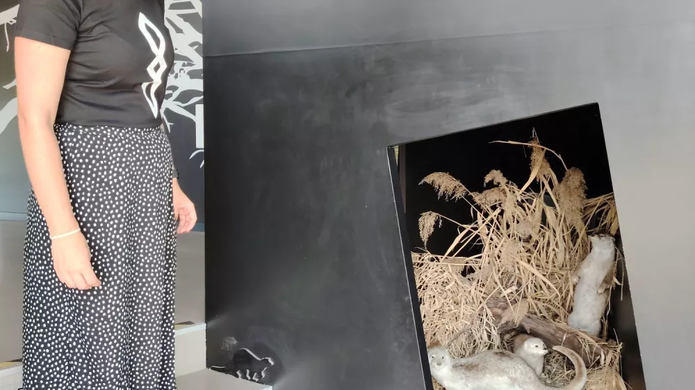 Expano Čarobni gozd / Foto: Mojca Marot