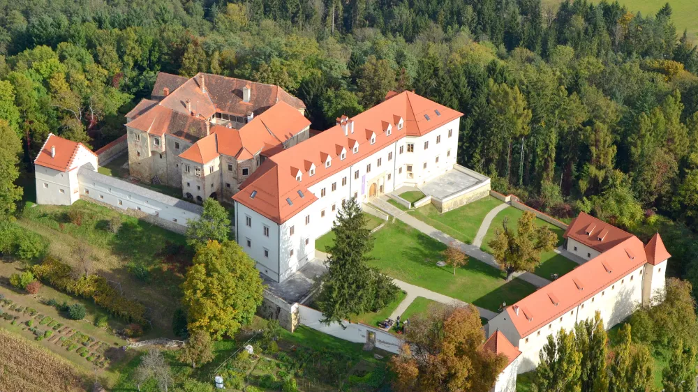 ﻿Grad Negova. Foto: Arhiv javnega zavoda Kultprotur