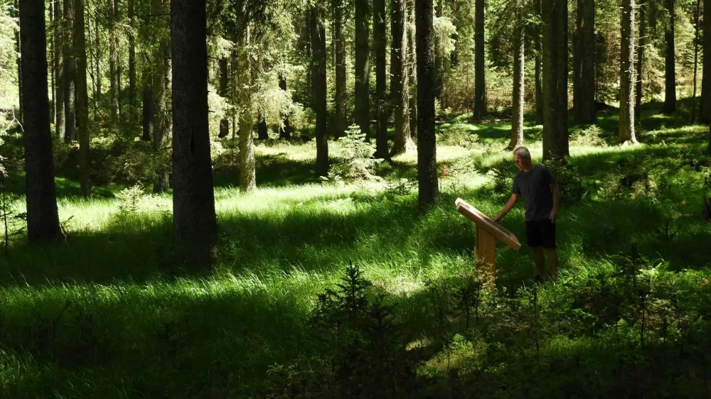 Nekdanja Pokljuška pot, danes krajša učna pot Mrzli studenec, poteka skozi strnjene smrekove gozdove, mimo travišč, Grajske planine, Velikega Blejskega barja in ostalin prve svetovne vojne (Savska obrambna linija).