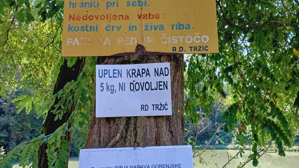 Ribolov je dovoljen od zore do mraka na športni način: z uporabo ene palice, enega trnka in ene vabe. Foto: Tina Jereb