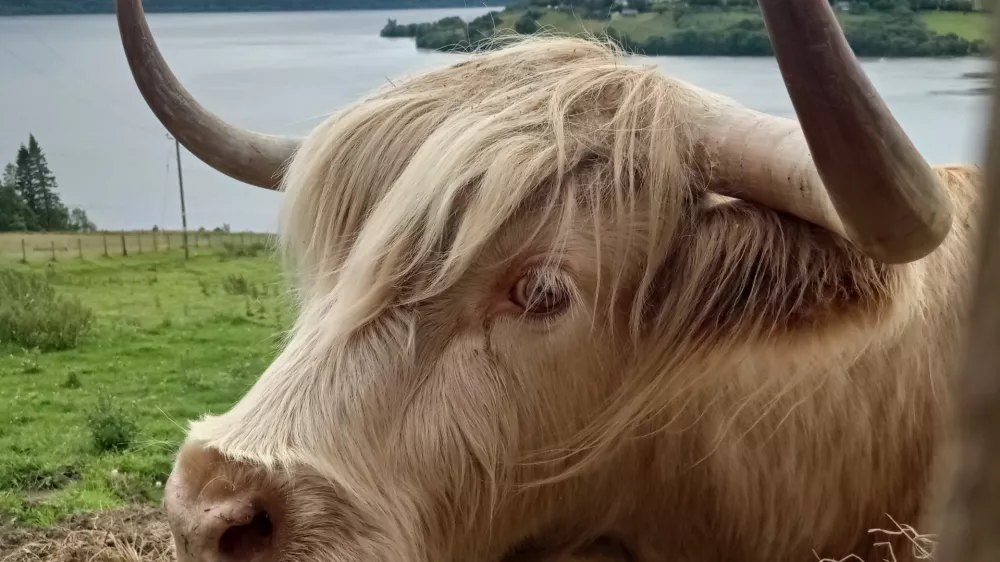 &scaron;kotsko godevo na jezeru Loch Ness