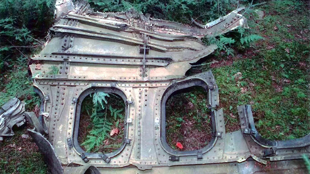 Razbitina četrtega letala, najdena na prizorišču v okrožju Somerset v Pensilvaniji / Foto: Wikipedija / Foto: Wikipedija