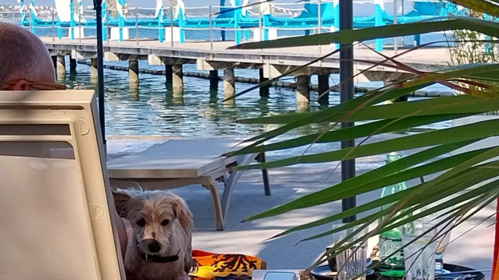 Monty beach Pasja plaža v Portorožu