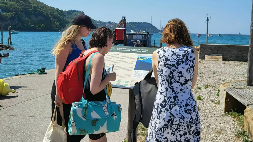 obiskovalci krajinski park strunjan / Foto: Katja Gleščič 