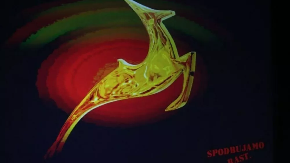 (Foto: Bojan Velikonja)