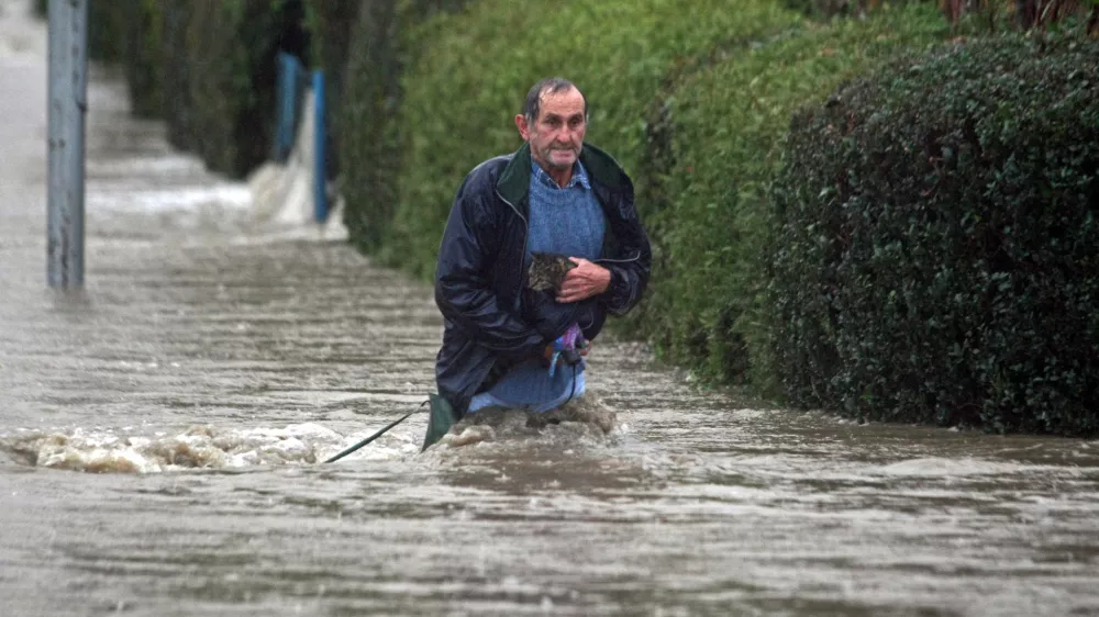 Dogoše- Poplave 2012 - reka Drava prestopila bregove zaradi dviga zapornic na avstrijski strani //FOTO: Jaka Gasar
