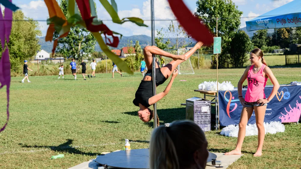 Dan soseda Štepanjsko naselje