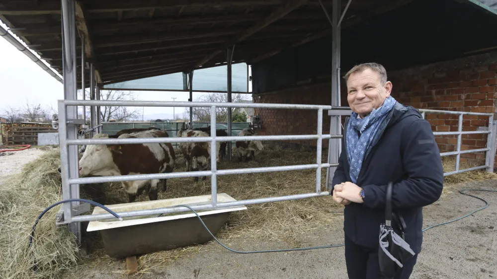 Odvetnik Možganovih Franci Matoz je po spodletelem poskusu poravnave z državnim odvetništvom napovedal sodno bitko za poplačilo škode, ki naj bi jo zaradi odvzema živali utrpela njegova stranka. FOTO: Luka Cjuha 