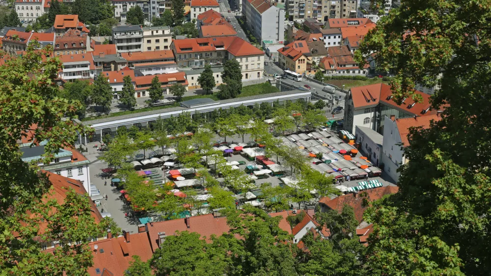 Zavod za varstvo kulturne dediščine Slovenije je Mestni občini Ljubljana že dvakrat izdal negativno kulturnovarstveno mnenje. Foto: Bojan Velikonja 