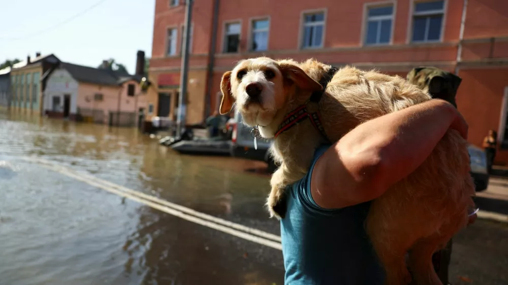 A person carries a dog, in an area flooded by the Nysa Klodzka river, following heavy rainfalls, in Lewin Brzeski, Poland September 17, 2024. REUTERS/Kacper Pempel / Foto: Kacper Pempel