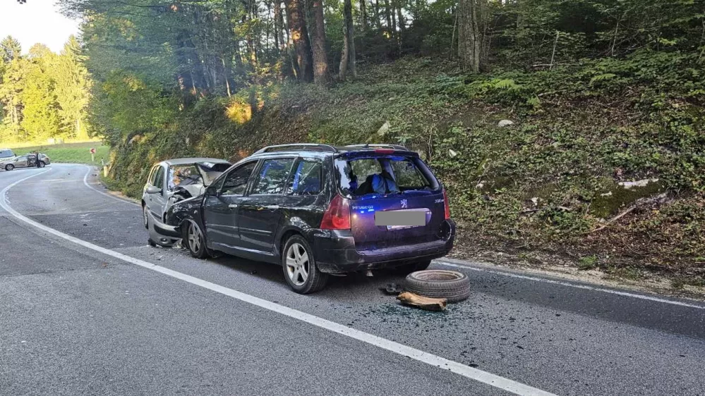 Prometna nesreča PU Novo mesto