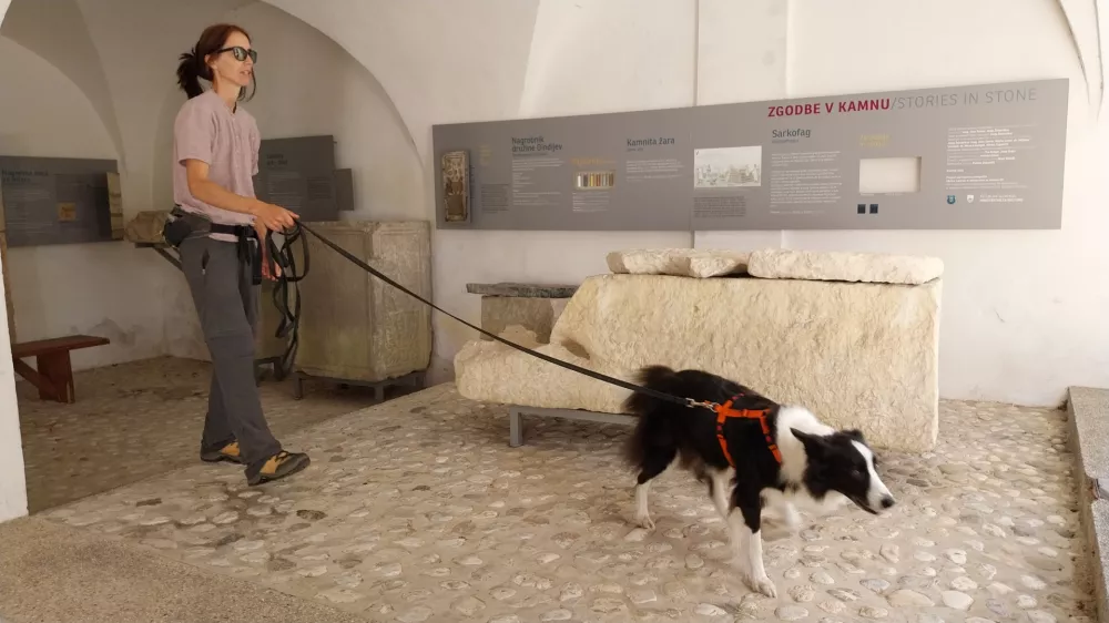 Pri iskanju sledi sta pomagali tudi Ana Plestenjak in njena enajstletna psička Flo. Foto: Vesna Levičnik