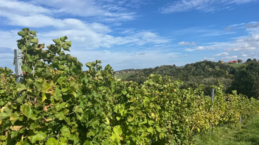 Ptuj &Scaron;tajerska